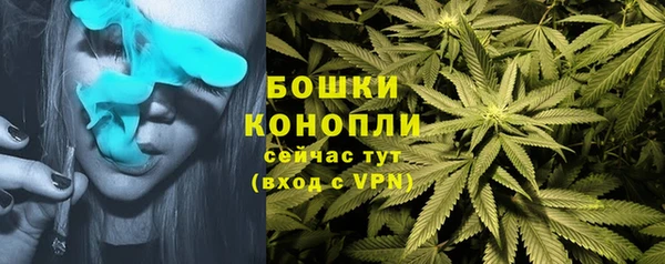 амф Михайловка