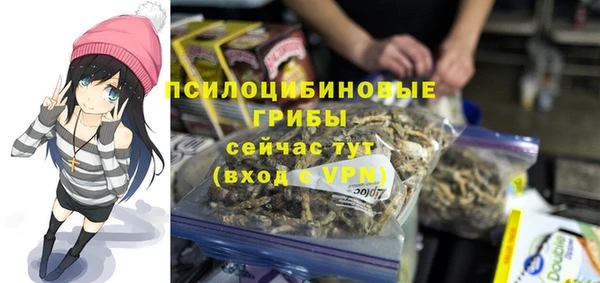 амф Михайловка