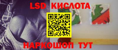 винт Шахты