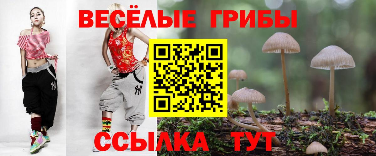 Галлюциногенные грибы ЛСД Салават