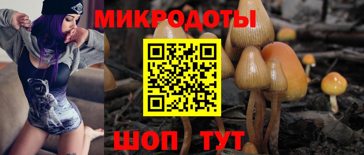 Салават  Псилоцибиновые грибы GOLDEN TEACHER  Вход с VPN  Галлюциногенные грибы Psilocybe 