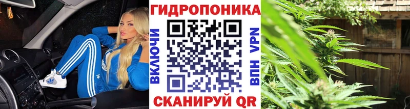 купить закладку  Салават  Шишки марихуана гибрид 